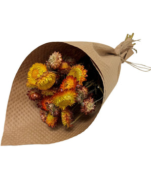 Preserved Strawflower Bundles: Orange