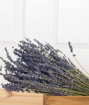 Preserved French Lavender Bundle