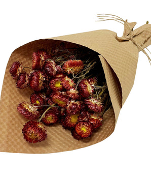 Preserved Strawflower Bundles: Red