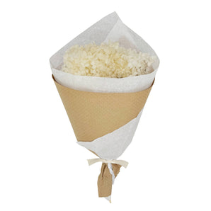 Preserved Ivory Hydrangea Bundle