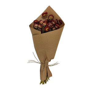 Preserved Strawflower Bundles: Red