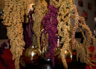 Preserved Hanging Amaranth Saje Rose 