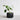 Saia Planter