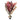 Saje Rose Summer Merlot Bouquet Wine & Flowers The Ritual Bouquet