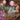 8/10 | Wine & Flowers: Summer Disco