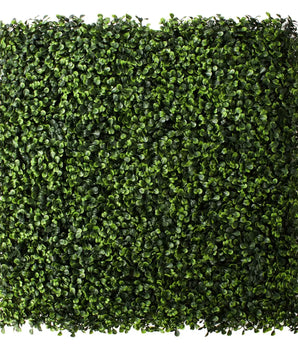 Boxwood Panels 21" | Set of 12