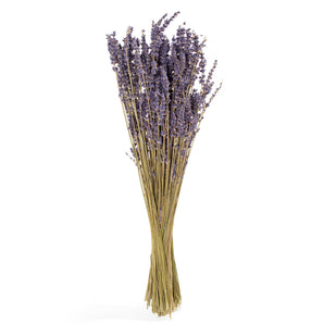 Preserved French Lavender Bundle
