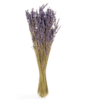 Preserved French Lavender Bundle