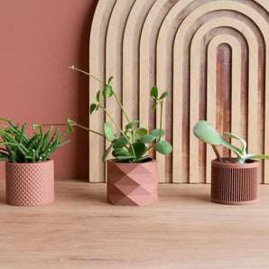 Sia Terracotta Mini Planter | Set of 3