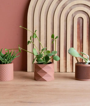 Sia Terracotta Mini Planter | Set of 3