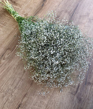 Dried Baby's Breath Bundle