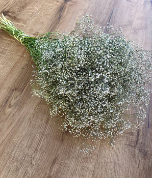 Dried Baby's Breath Bundle