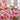 Floral Tablecloth