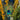 Close-up of a peacock feather surrounded by yellow flowers and greenery