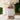 Glass jar of bath salts labeled 'Petite Rose & Salt' with a floral background