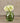 Green vase with white flowers on a wooden surface and beige wall background