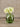 Green vase with white flowers on a wooden surface and beige wall background
